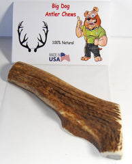 Big Dog Antler Chews elk-antler-piece-closeup halved interior for easier marrow access