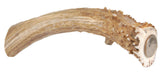Big Dog Antler Chews XL base piece for long-lasting chews by large dogs