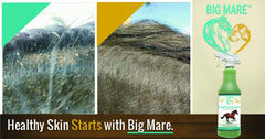 Big Mare vet-approved label closeup highlighting professional endorsement for horse care.