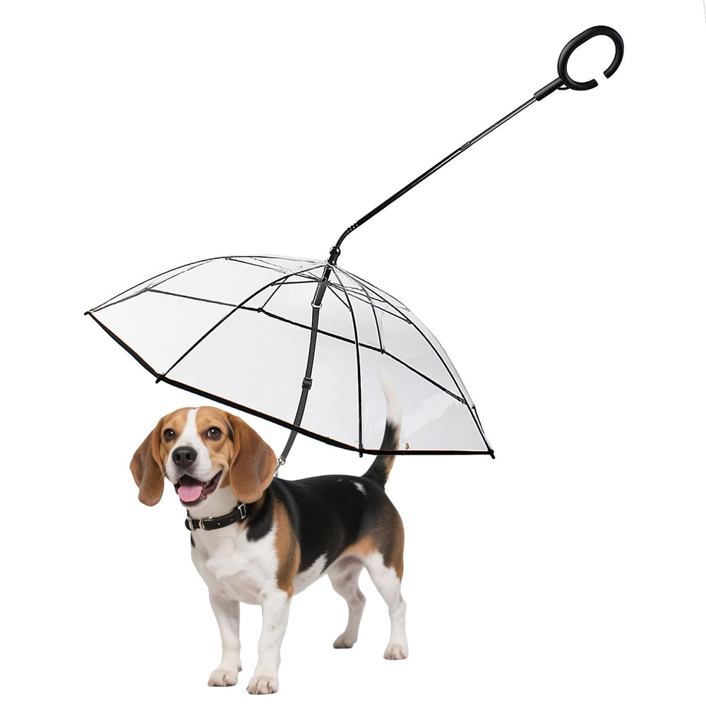 BillionChains dog umbrella provides full coverage for small dogs during rainy walks.