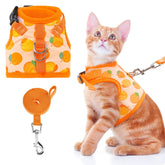 BINGPET cat harness escape-proof front view for secure outdoor adventures