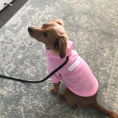BINGPET dog coat soft brushed fleece enables comfortable all-day wear