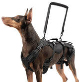 BINGPET dog lift harness front view with handles for mobility support.
