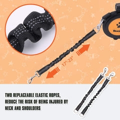 BINGPET leash with detachable LED flashlight improves dusk visibility during walks