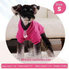 BINGPET Little Miss Attitude back-view shows leash hole for easy walks.