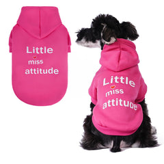 BINGPET Little Miss Attitude dog sweater outdoor-fit for chilly walks.