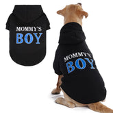 BINGPET Mommy's Boy dog sweater-hood keeps dogs warm during outdoor strolls.