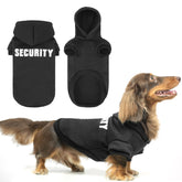 Bingpet security dog hoodie on a dachshund provides warm fleece for cold-weather warmth