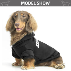 Bingpet security dog hoodie machine-washable for simple cleanup after adventures