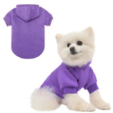 Sudadera BINGPET con capucha y forro polar frente: ideal para paseos fríos.