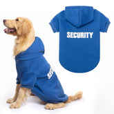 BINGPET sudadera para perro con capucha frente, ideal para paseos diarios en clima frío