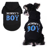 Sudadera BingPet para perros con capucha, abrigo suave para paseos.