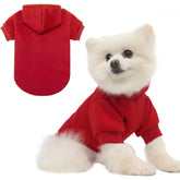 BINGPET sudadera para perro, vista frontal, comodidad para paseos diarios.