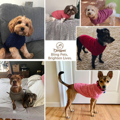 BINGPET thermal knitted dog sweater turtleneck design keeps neck warm during outings.