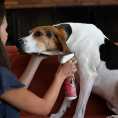 Bio-Groom cruelty-free label indicating ethical pet care