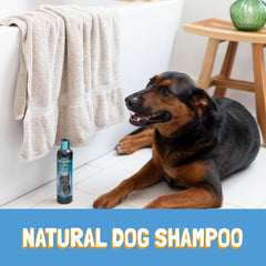 Bio-Groom Ultra-Black Shampoo gallon container for home grooming
