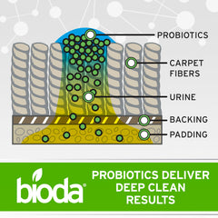 Bioda enzyme-powered odor elimination for carpet backing and padding scenarios