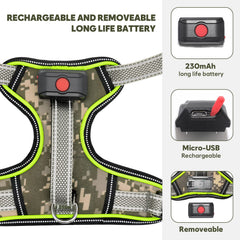 BiPawTi LED dog harness with removable rechargeable battery for long walks