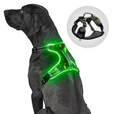 BiPawTi light up dog harness front view with bright LED visibility for nighttime safety