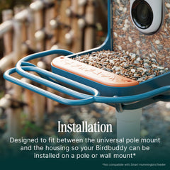 BirdBuddy Blue Perch Extender with birds on perch highlights group perching in the yard