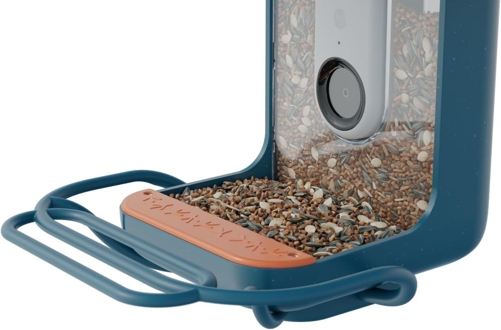 BirdBuddy Blue Perch Extender closeup shows weatherproof perch for outdoor birdwatching