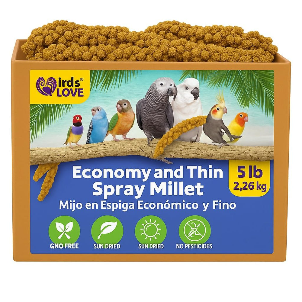 Birds LOVE Economy spray millet box bulk packaging for easy feeding and storage.