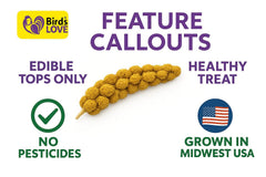 Birds LOVE Economy millet edible tops image shows waste reduction and easy serving.