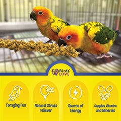 Birds LOVE Economy spray millet handful highlights 100% edible millet.