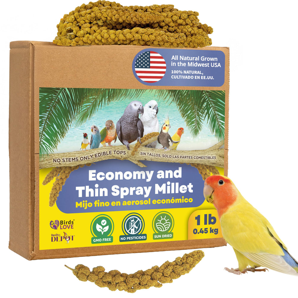 Birds LOVE Economy spray millet packaging shows a ready-to-serve healthy treat for birds