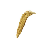 Birds LOVE mijo en atomizador de nueve onzas, ideal para forraje diario de aves.