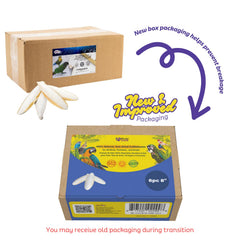 Birds LOVE Natural Cuttlebone 7.5–8 inch bone ready for beak care
