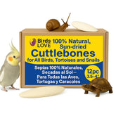Birds LOVE Natural Cuttlebone front close-up; calcium-rich enrichment for parakeets and birds.