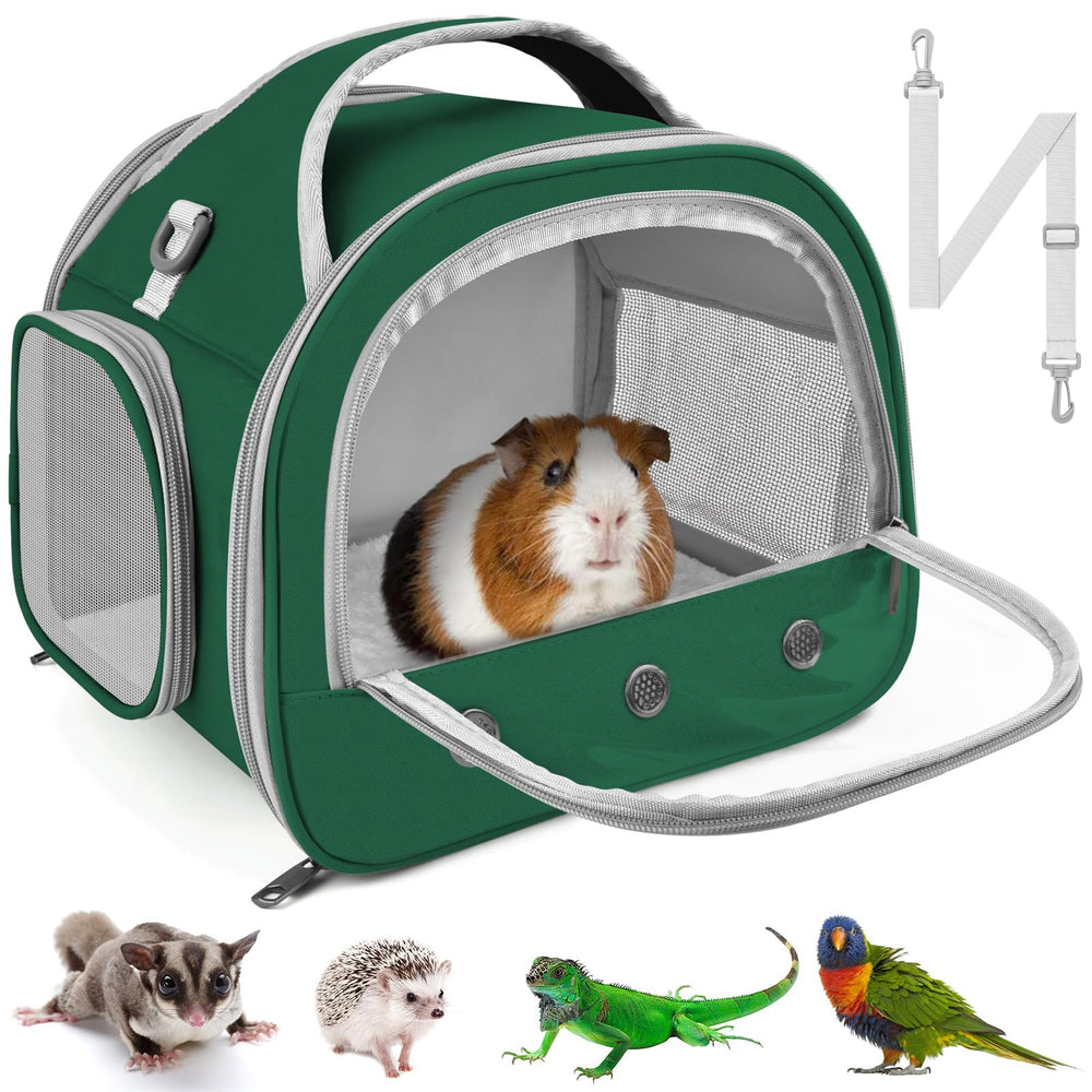Bissap Bearded Dragon Travel Carrier with transparent window for easy monitoring on the go.