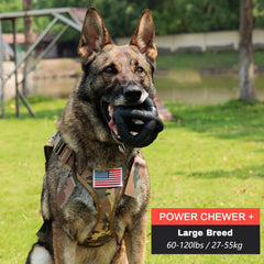 BiteKing natural rubber dog balls open-grid texture enhances grip during fetch and tug.