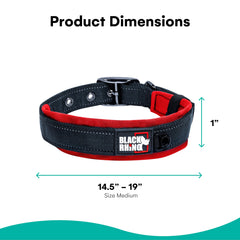 Black Rhino Comfort Collar reflective stitching boosts visibility during early morning walks.