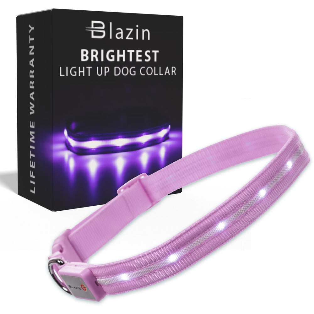 Blazin Light Up Dog Collar front view showing full visibility glow for safer nighttime walks
