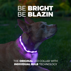 Blazin Light Up Dog Collar side view highlighting size adjustability and rugged nylon