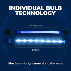 Blazin Light Up Dog Collar solid mode lit to demonstrate continuous glow