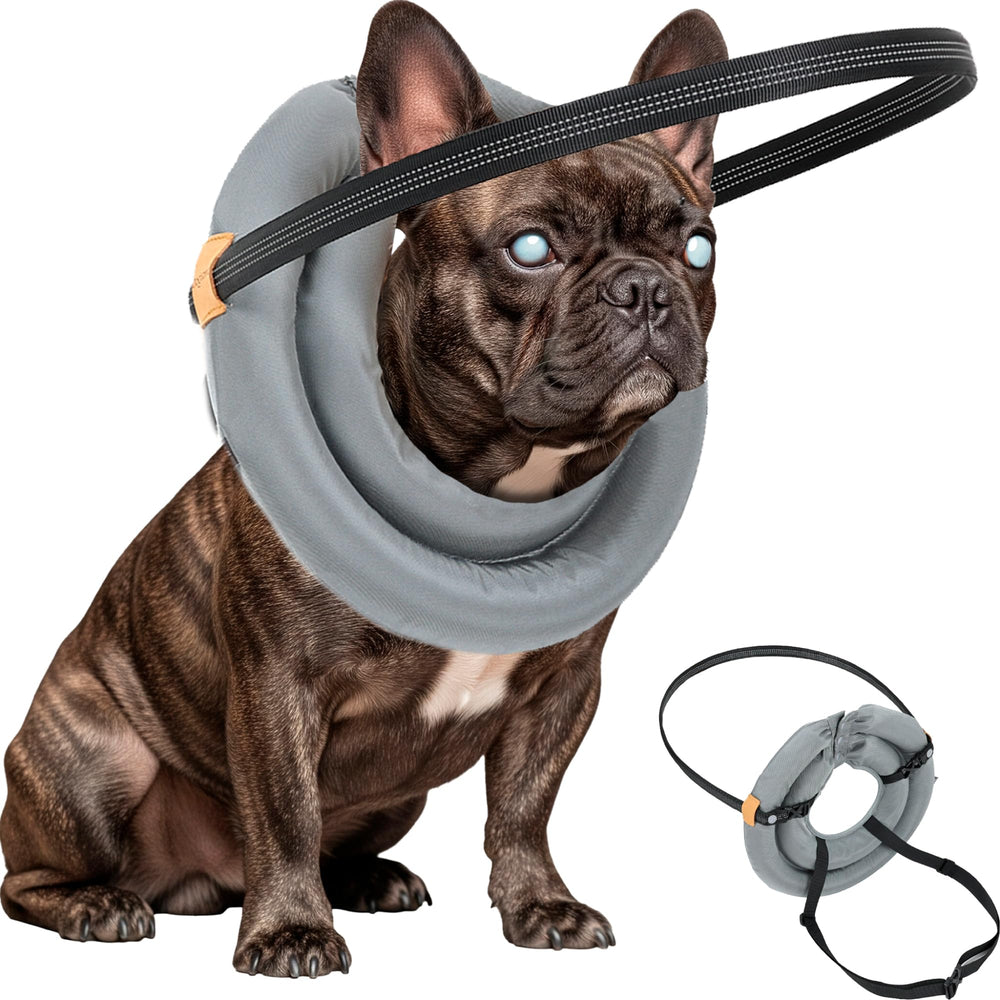 Blind Dog Bumper soft-knit halo helps navigate spaces with reduced collisions.