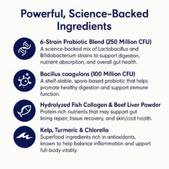 Blisso Pet Advanced Cat Probiotic Drops added to cat food for simple daily use