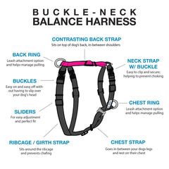 Blue-9 Buckle-Neck Balance Harness back view highlighting dual D-rings for better control.