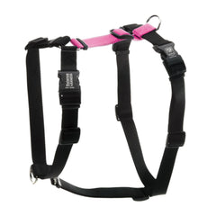 Blue-9 Buckle-Neck Balance Harness front view for secure training and comfortable movement.