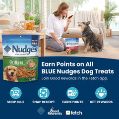 Blue Buffalo Nudges chewy homestyle texture emphasizes satisfying bite during training.
