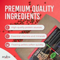 Blue Ridge Koi Food growth formula visuals suggest year-round nutrition for steady koi and goldfish development.