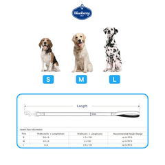 Blueberry Pet Cherry Garden Dog Leash stitched webbing, robust construction for everyday adventures.