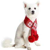 Blueberry Pet Christmas Fair Isle dog scarf in red on a dog for holiday warmth