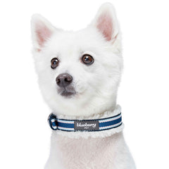 Blueberry Pet chrome D-ring detail offers reliable leash attachment.