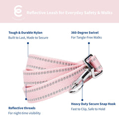 Blueberry Pet Essentials large collar D-ring chrome detailing for durable leash attachment