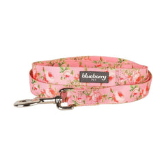 Blueberry Pet leash durability close-up highlighting strong polyester webbing for puppies.