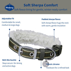 Blueberry Pet olive-green collar with chrome buckle for secure closure.